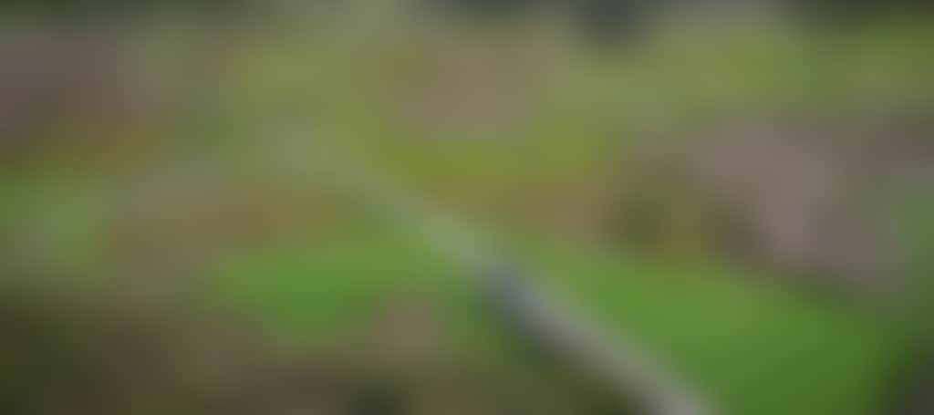 09B08375D36323973E4B6E5C660A8383