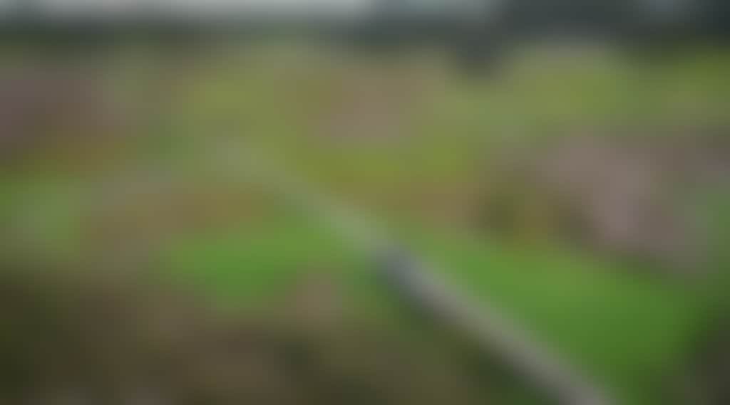 09B08375D36323973E4B6E5C660A8383