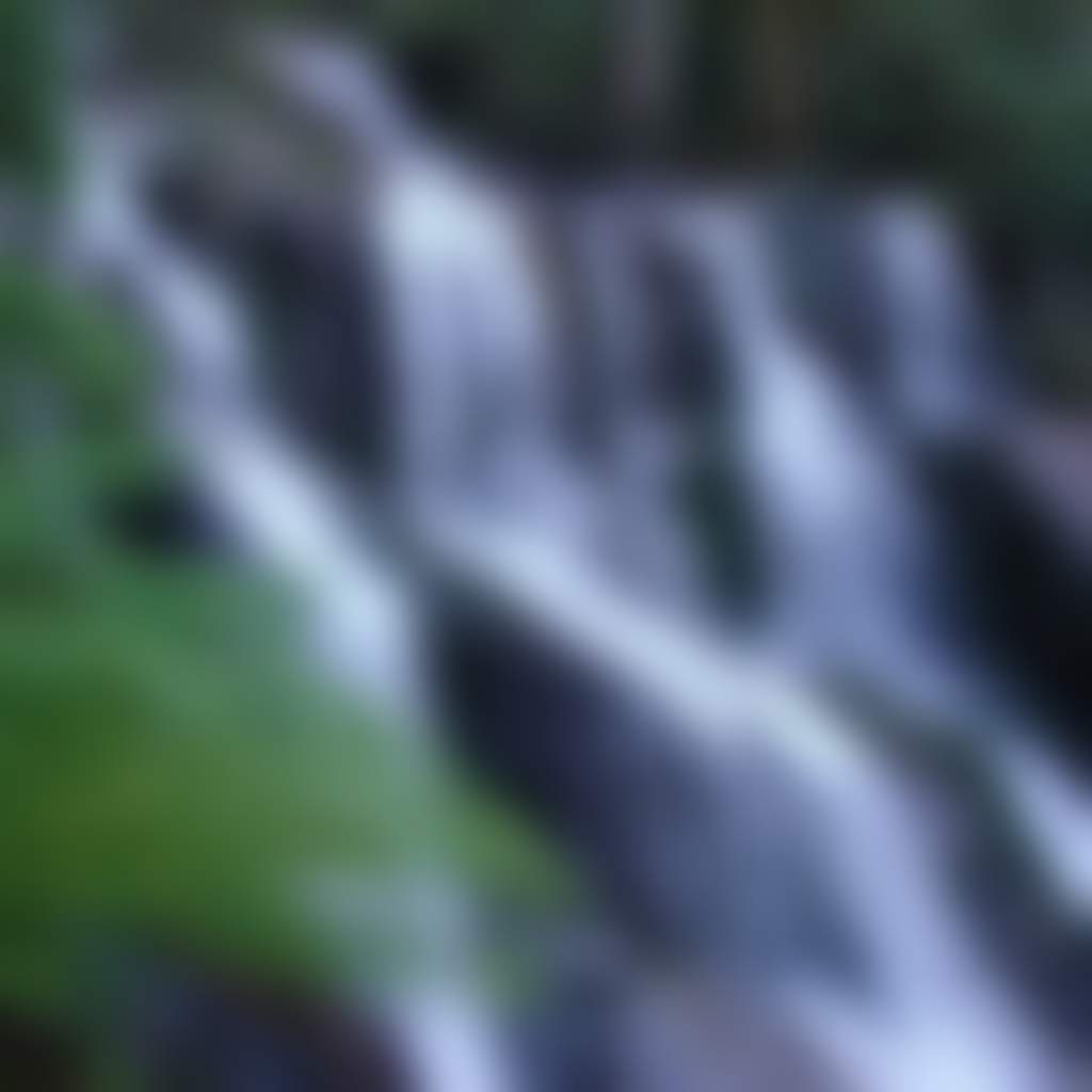 9615F205776E9135125C83D05F4A6F6B