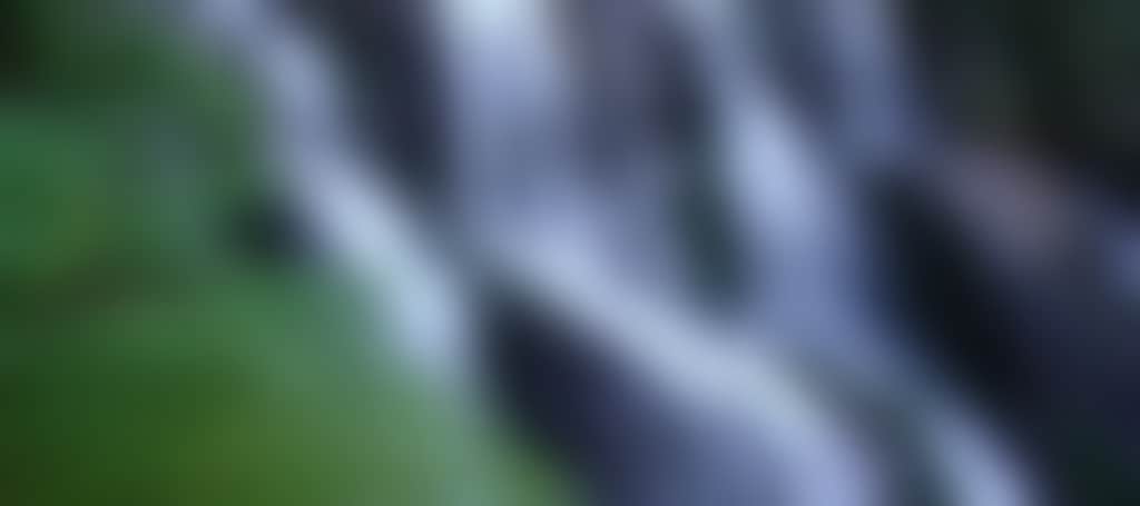 9615F205776E9135125C83D05F4A6F6B