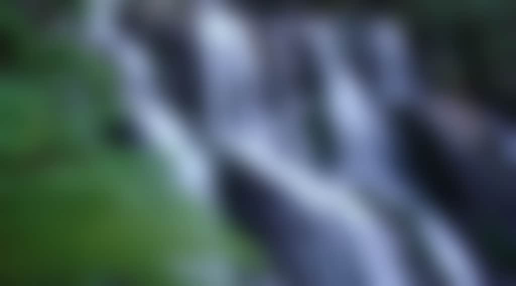 9615F205776E9135125C83D05F4A6F6B