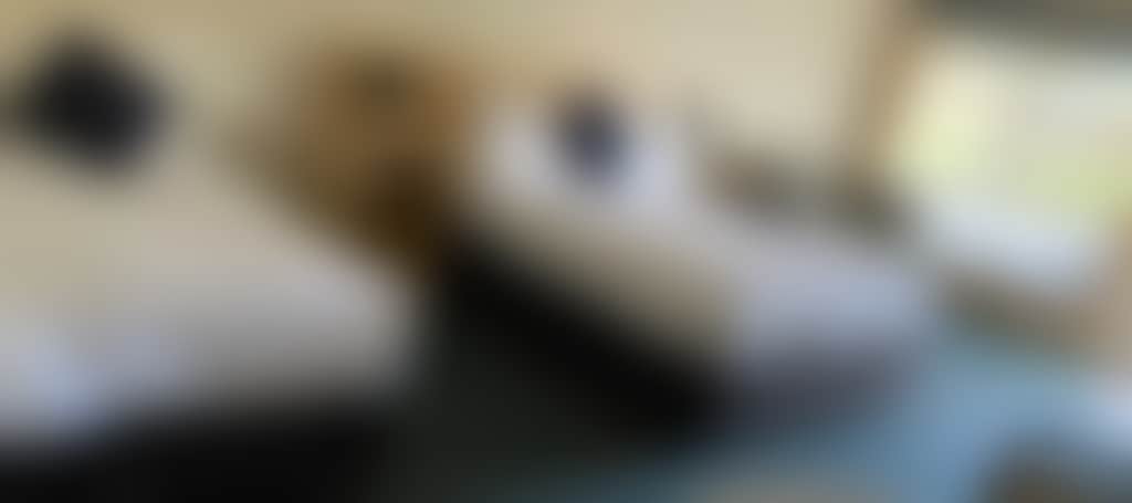 1A501F5462Fcb157D7F62554611C5876