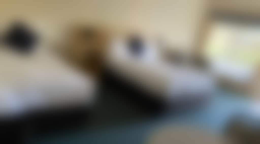 1A501F5462Fcb157D7F62554611C5876