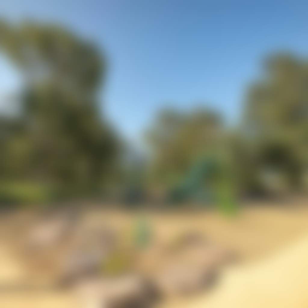 C6072657Afcf88Be1B981417A12F2D77