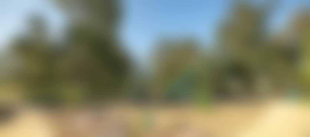 C6072657Afcf88Be1B981417A12F2D77
