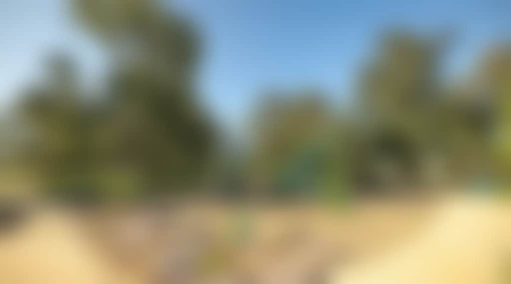 C6072657Afcf88Be1B981417A12F2D77