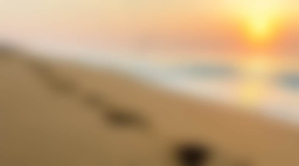 Ninety Mile Beach footsteps in the sand at sunset