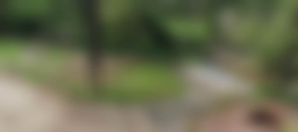 Ca9D77E284553944E1C452Ffd8F5F617