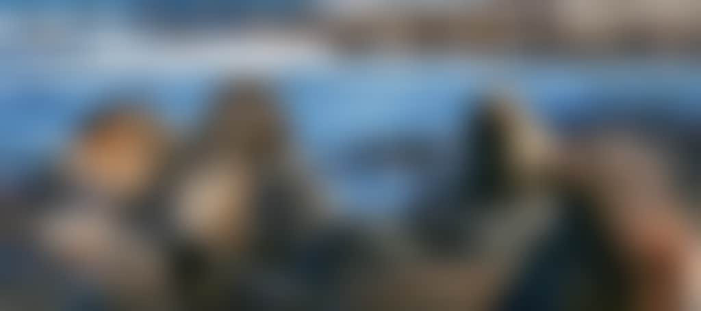 B715Cb345D04947Af830332Be5367281