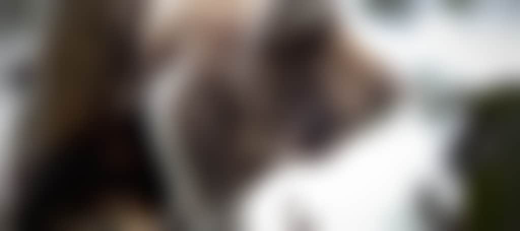 F0537D601765E015F5B81371Aba380C2