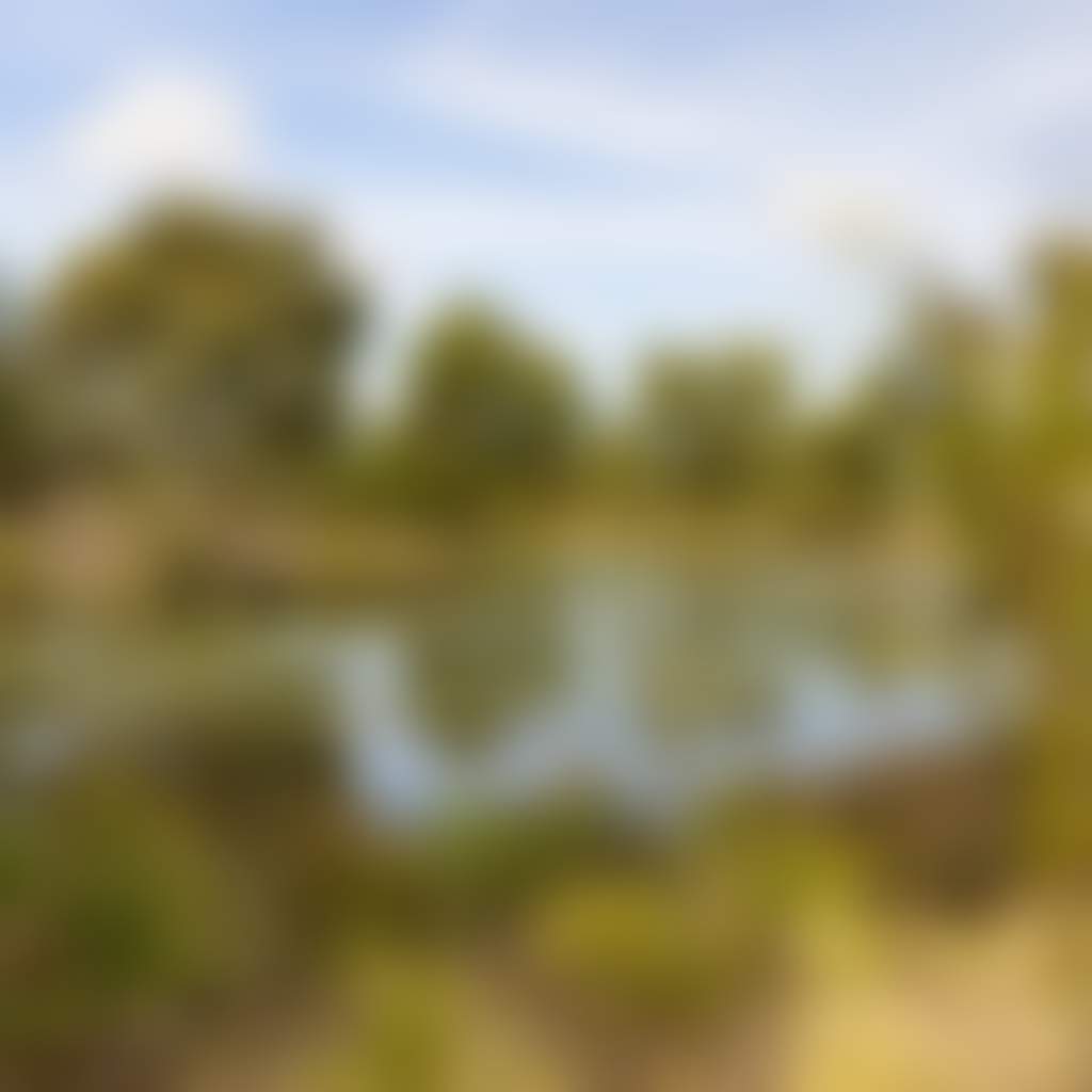 6027350030B5903A0501632B374F1131