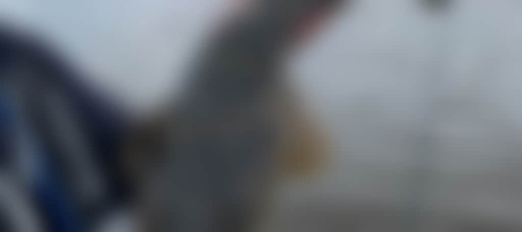 De640F2140E610A803C8Bdc813Cc8780