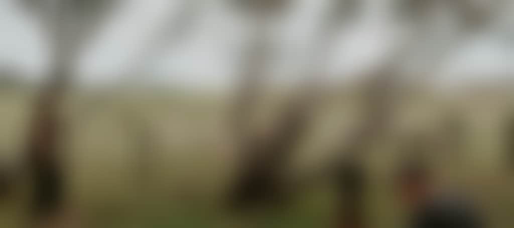 F29B688C31477520Bece5E498303D4Cb