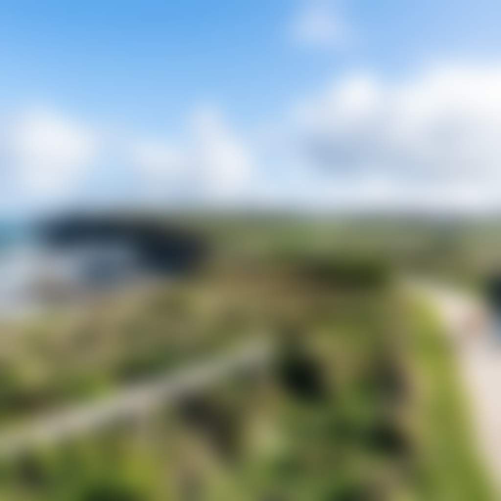 George Bass Coastal Walk Kilcunda person and dog walking along path with ocean and green hills