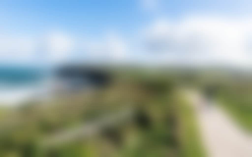 George Bass Coastal Walk Kilcunda person and dog walking along path with ocean and green hills