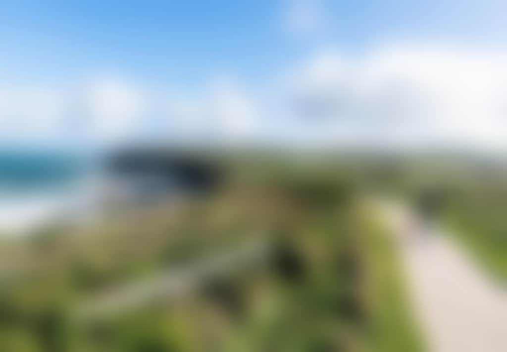 George Bass Coastal Walk Kilcunda person and dog walking along path with ocean and green hills