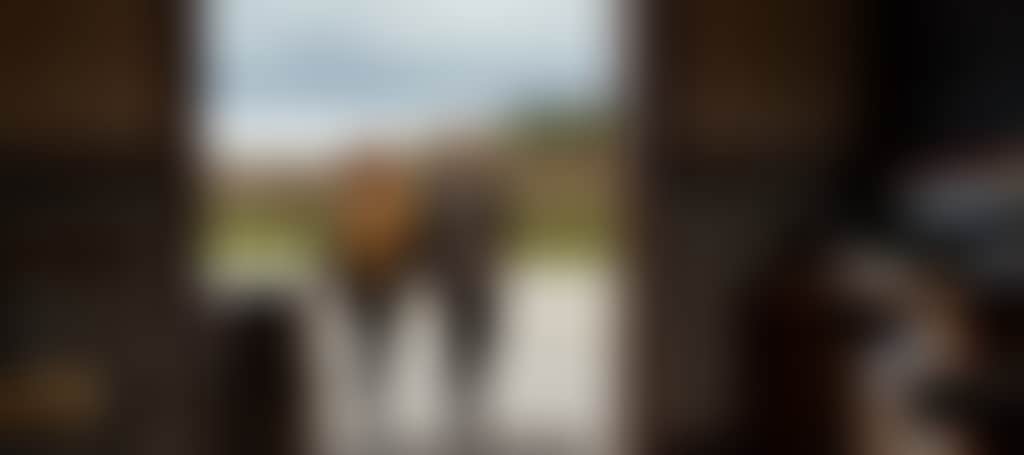 Blue Gables Vineyard couple walking into cellar door of Maffra winery