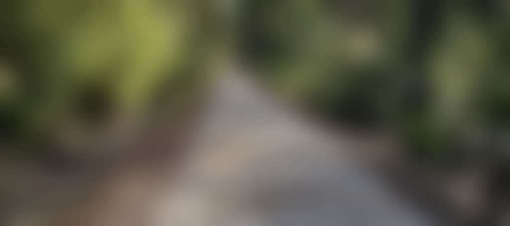 E158499A8B80Fc307361901D0145696E