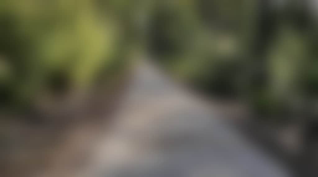E158499A8B80Fc307361901D0145696E