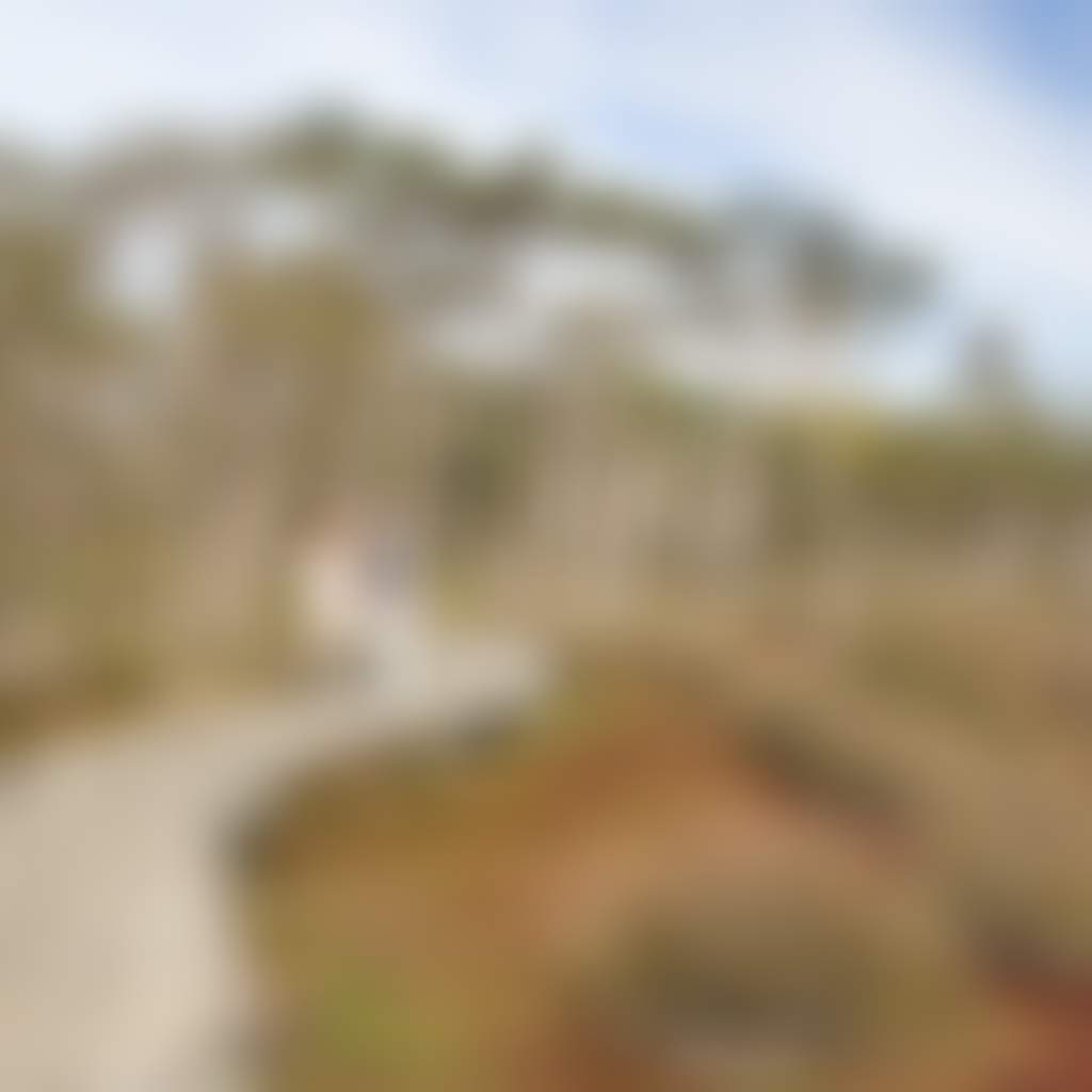 Rhyll Inlet Boardwalk