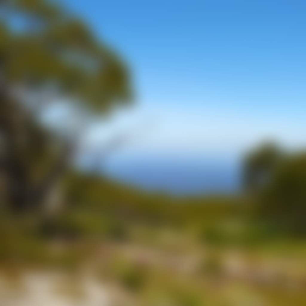 Mt Baw Baw Summer View