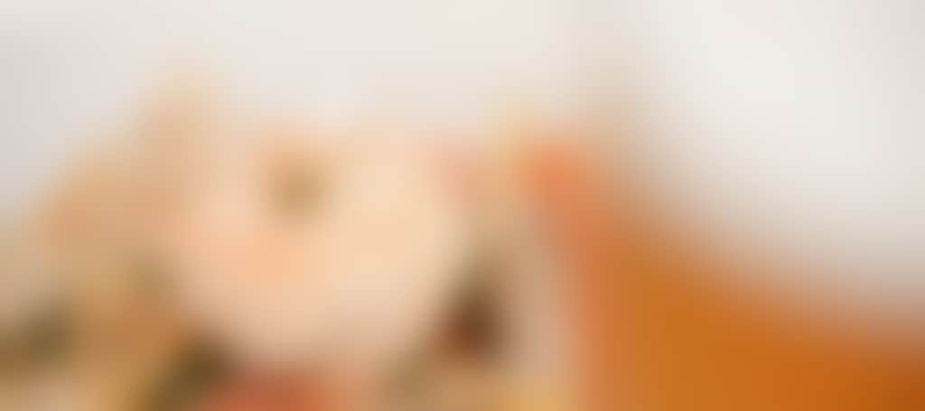 9Fb6D01C8C8665B2459C7542D5C32670