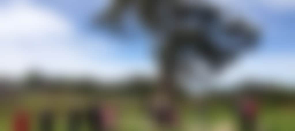 Ae32F418274C2674F0352Cffbe9C5Ab1