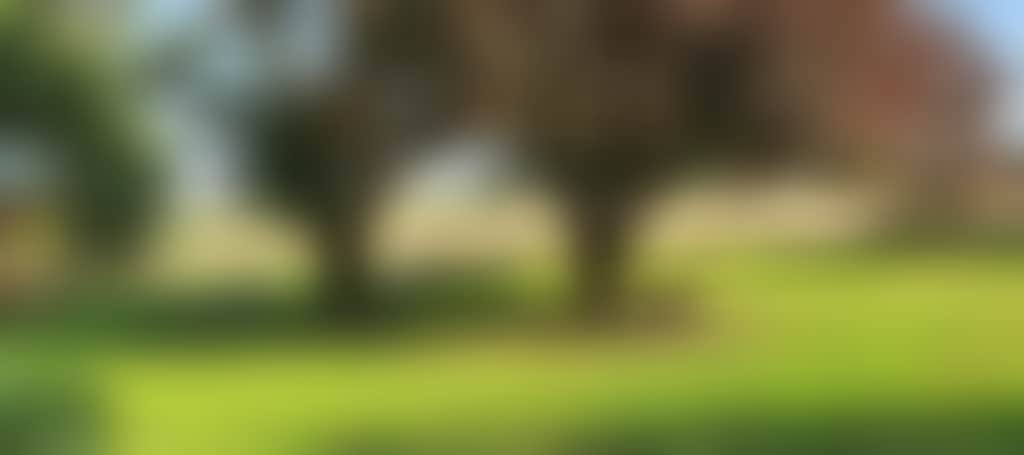 521F78Aaa8Ce1Fcb03E1F46B457987A8