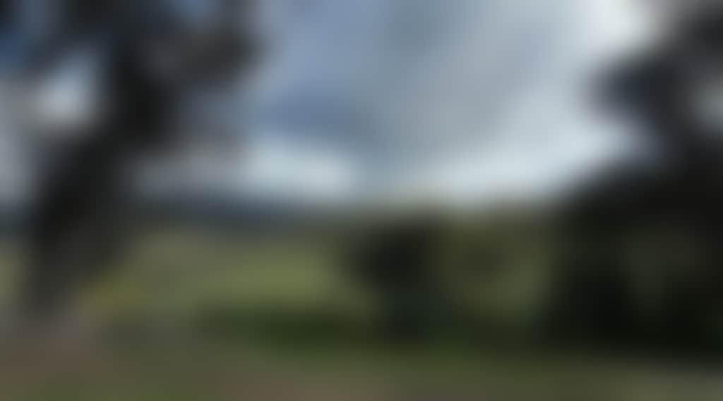 C2755Be9853Ef92Efba3361D9A6A7612