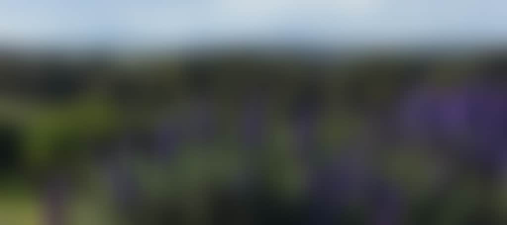 26E7Bc307C94677B8D59A659B0662785
