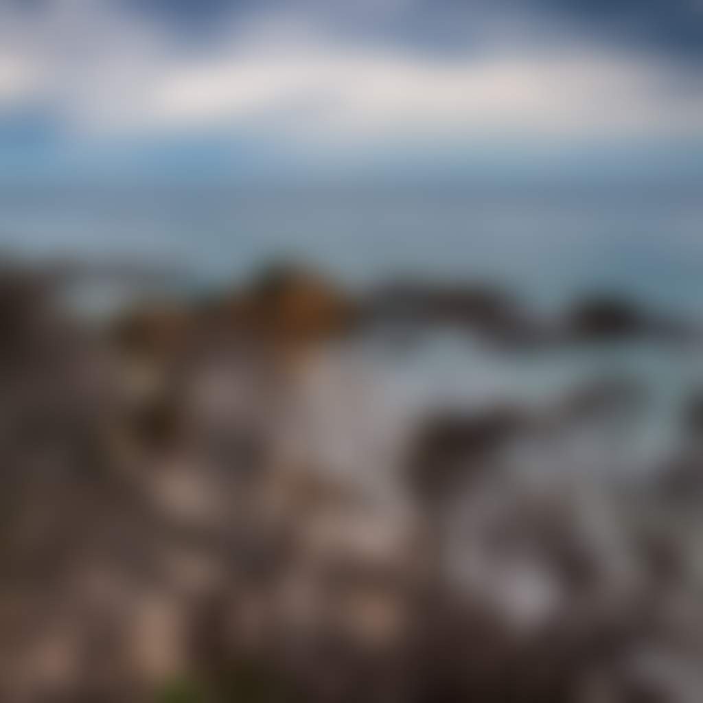 Quarry Beach Mallacoota after the 2020 bushfires