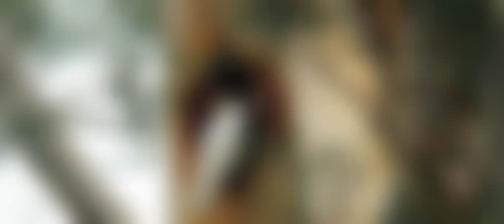 B5Fbc3C2588Ba0C3D1A6A4F1A4Bb90B9