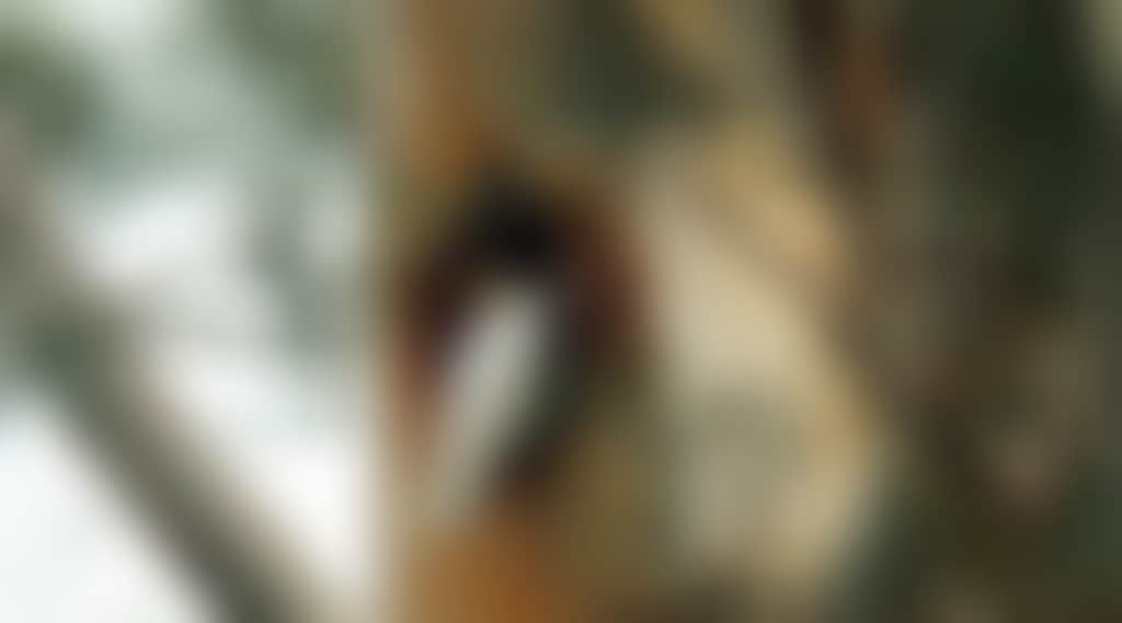 B5Fbc3C2588Ba0C3D1A6A4F1A4Bb90B9
