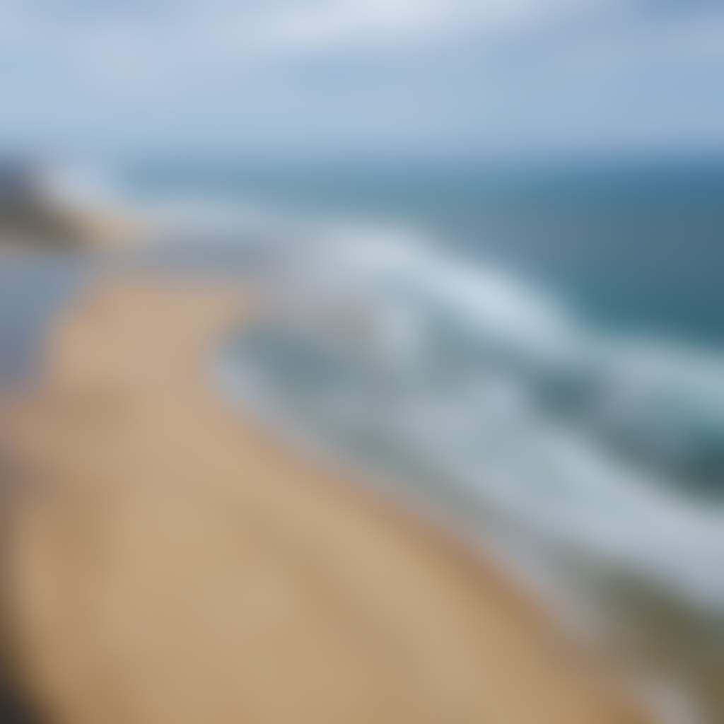 Mouth of Snowy River Mots Beach aerial