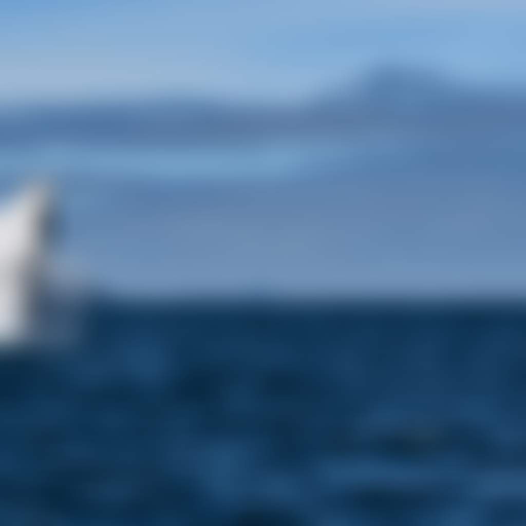 Whale breaching in front of islands at Wilsons Promontory South Gippsland