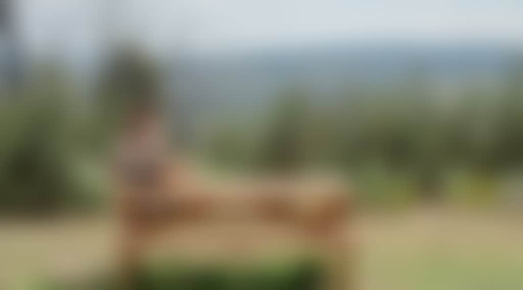 Woman sitting on picnic table looking at view at One Tree Hill near Buchan