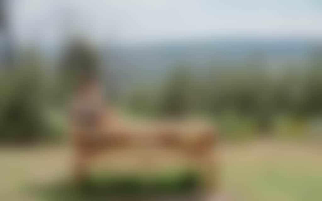 Woman sitting on picnic table looking at view at One Tree Hill near Buchan