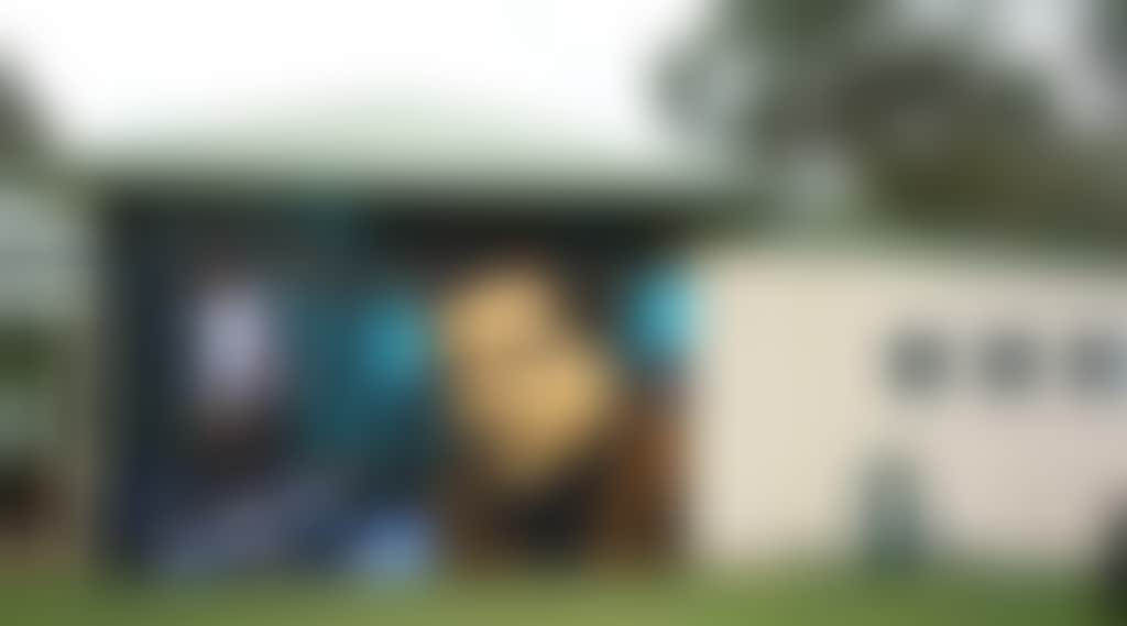 Yarram Murals Heesco Town Golf Course