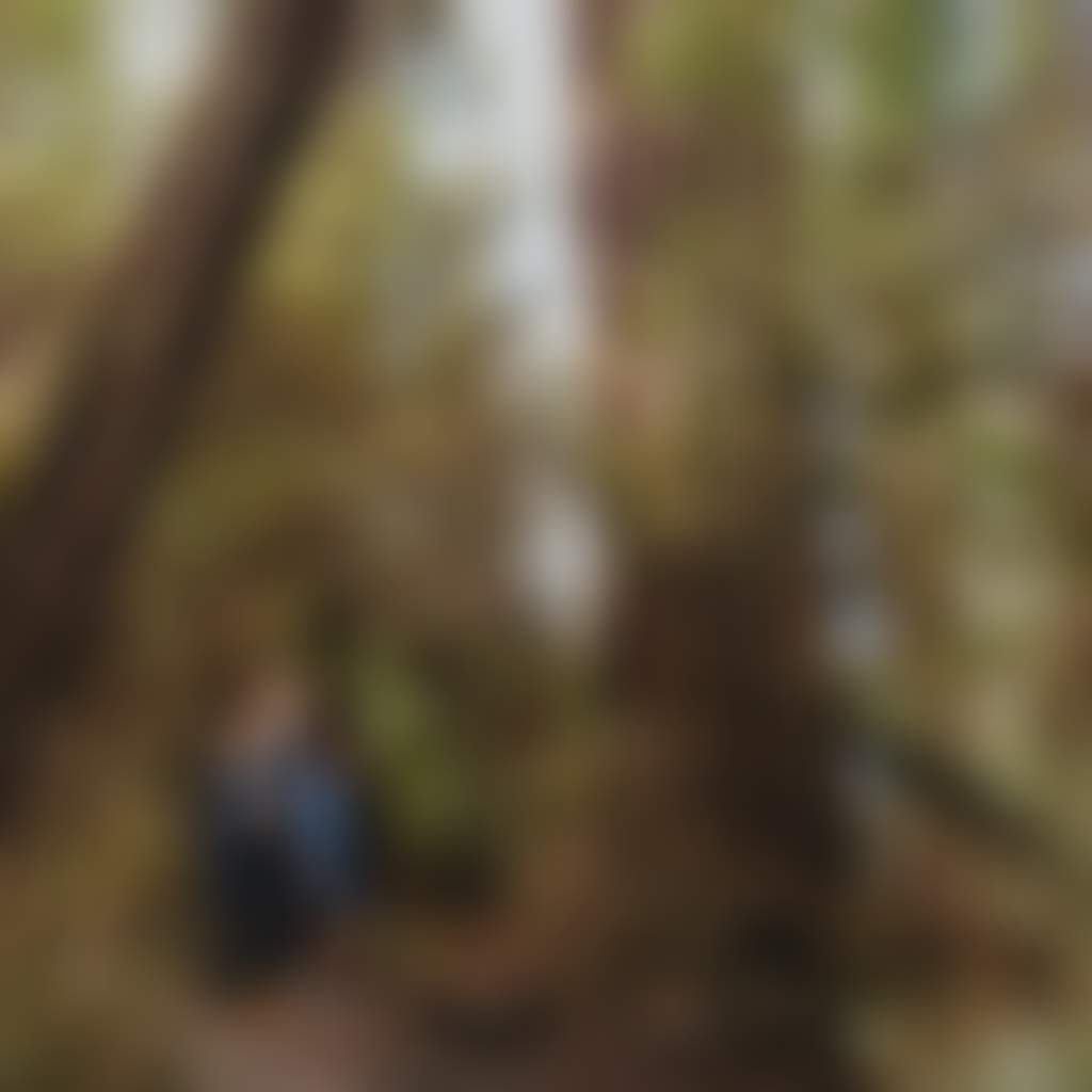 Glen Nayook Reserve Nayook family looking up at tree in forest