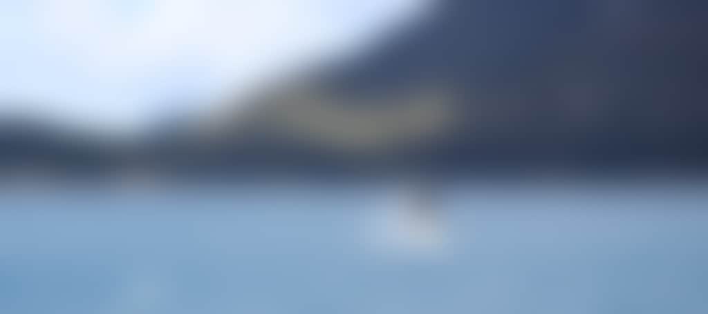 Whale breaching at Wilsons Promontory