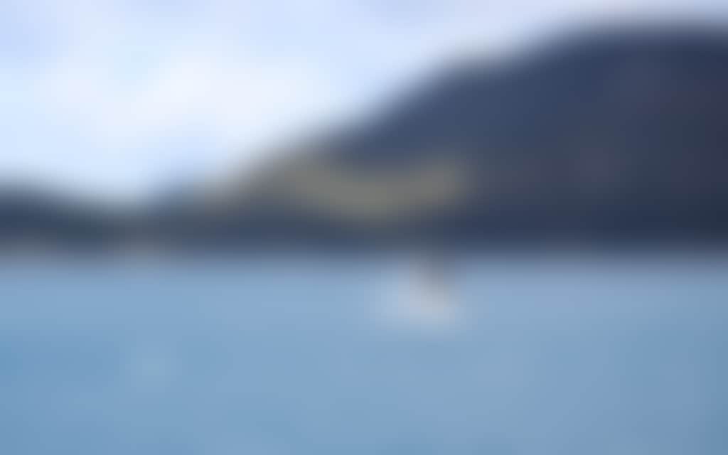 Whale breaching at Wilsons Promontory