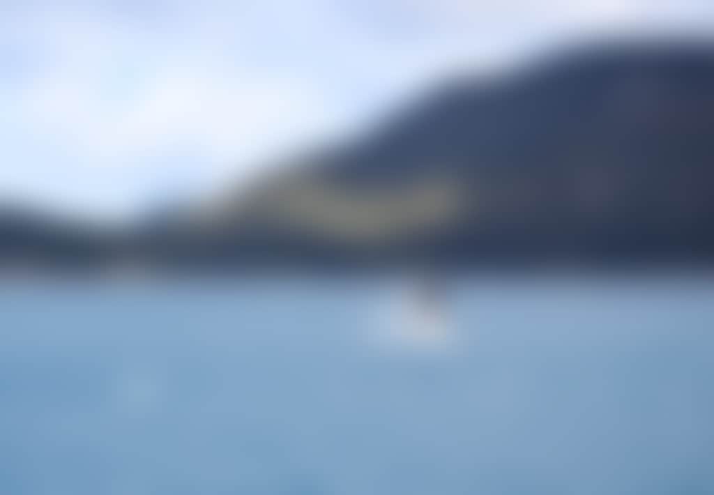 Whale breaching at Wilsons Promontory