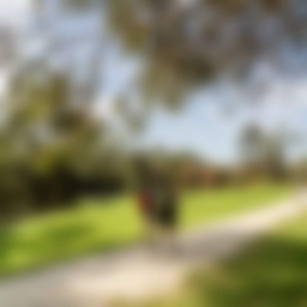 Great Southern Rail Trail hikers and dog walker on trail near Koonwarra