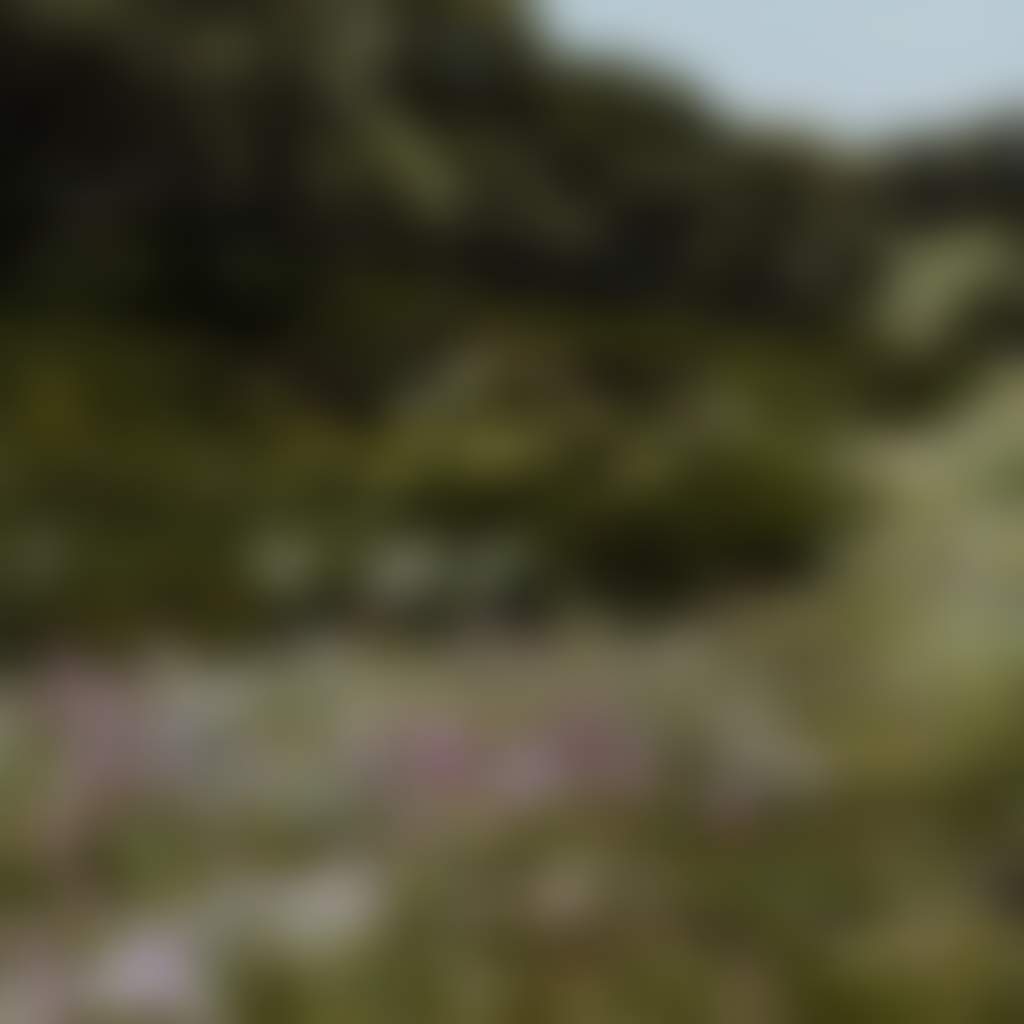 Mt Baw Baw Green season view of purple flowers in bushland