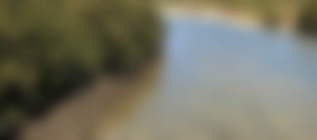 7Cc5871C87D4082E8E54Adbfe4567785