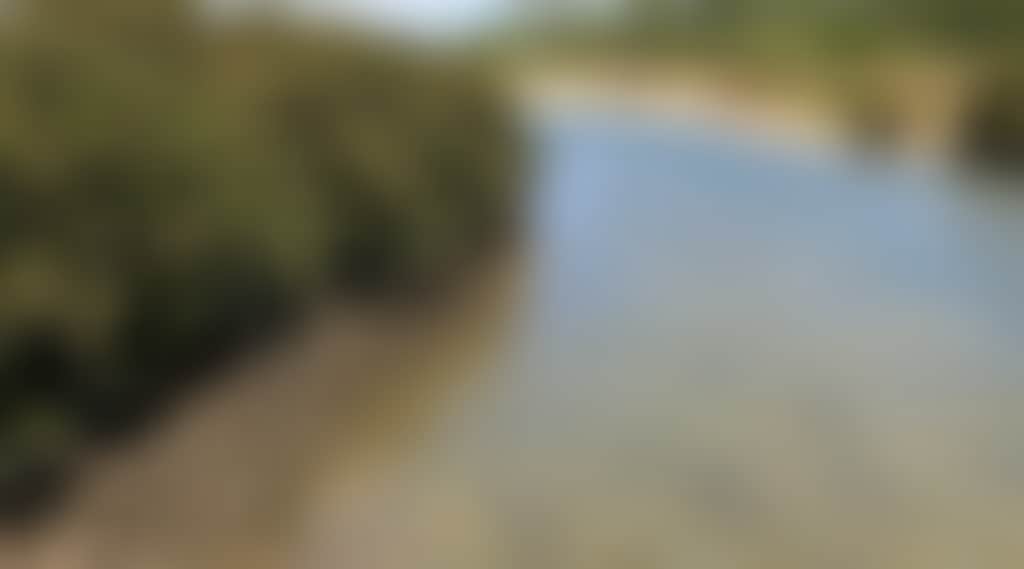 7Cc5871C87D4082E8E54Adbfe4567785