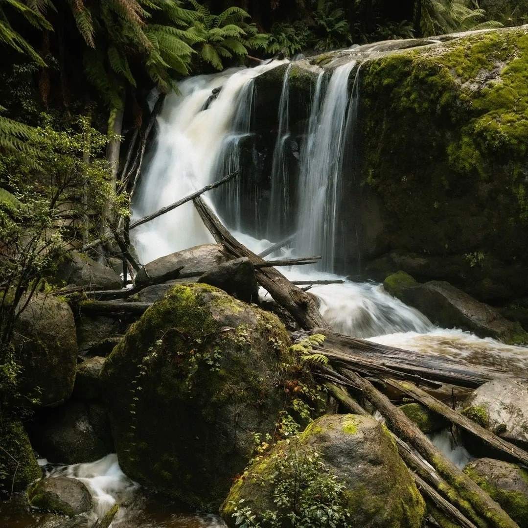 visitgippsland