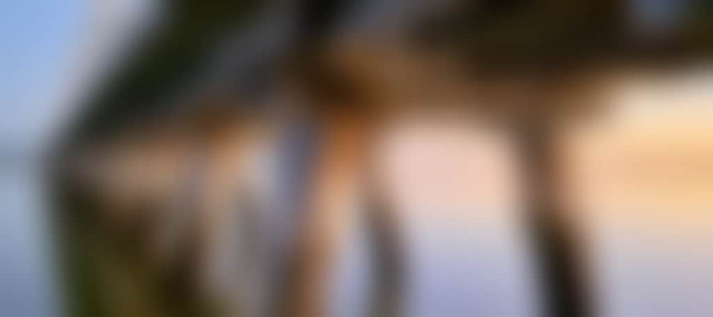 7C155D919Da05Fafc72F9F4Df46245Aa