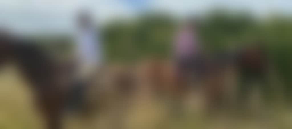 552Ed6D07617D40Be7Cac0B246432500