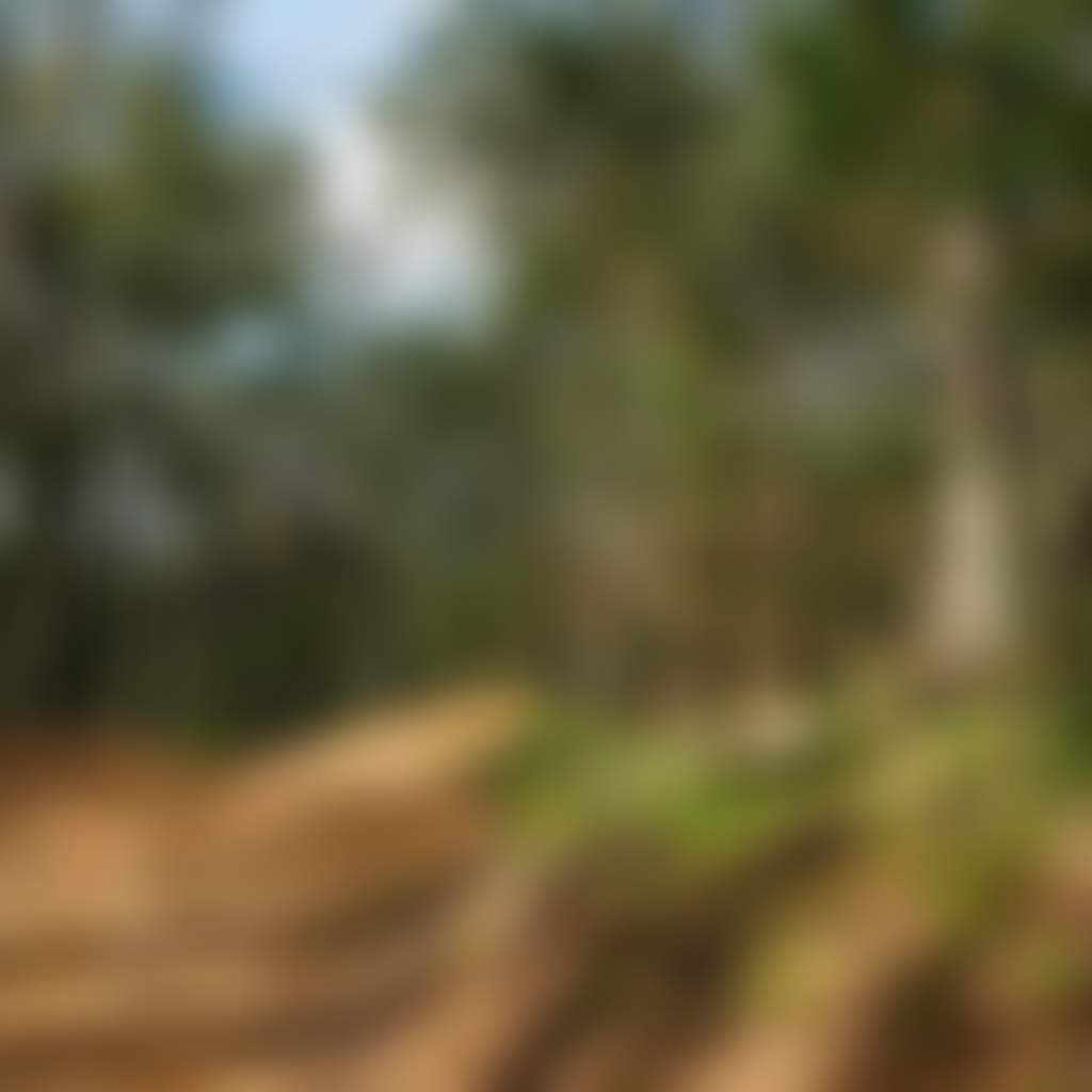 Lone jumper on Omeo MTB dirt track